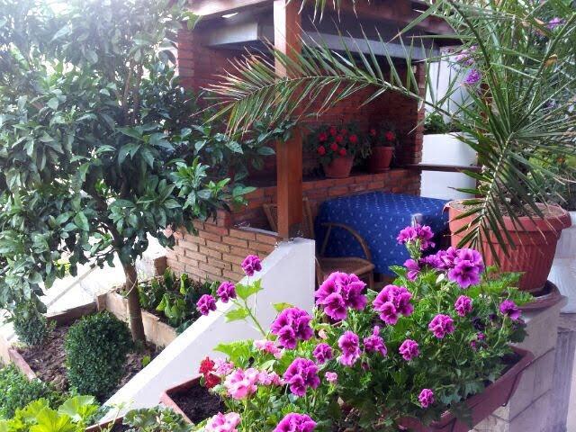 Firenze Apartments Ulcinj Eksteriør billede